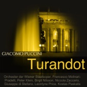 Puccini: Turandot artwork