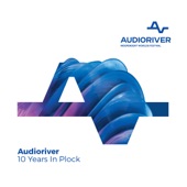 Audioriver: 10 Years In Plock artwork