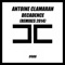 Decadence (Andy Rojas Remix) - Antoine Clamaran lyrics