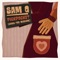 Pickpocket (Song for Miriam) - Sam Q lyrics