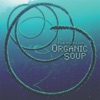 Organic Soup - Fire Ants