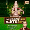 Palazhi Pamba - Ayyappan Songs album lyrics, reviews, download
