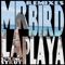 La Playa - Mr. Bird lyrics