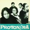 Protonema