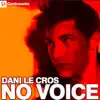 Stream & download No Voice - Single