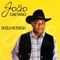 Os Dez Mandamentos do Vaqueiro - João Caetano lyrics