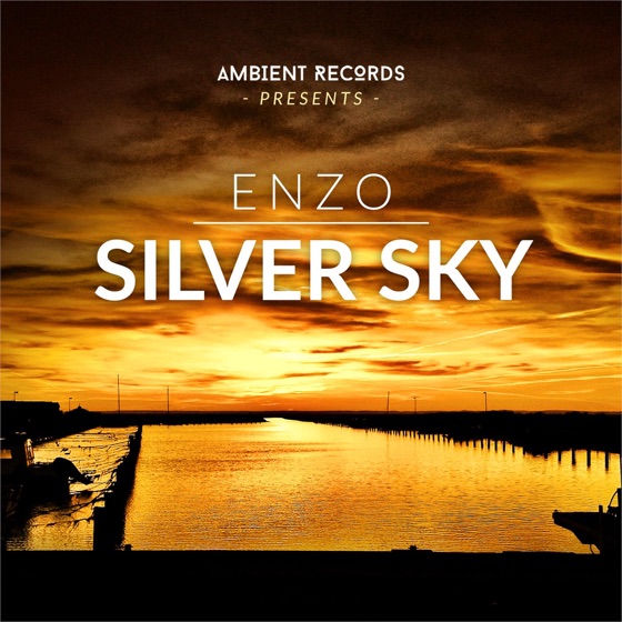 Cover artwork for Silver Sky