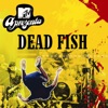 Mtv Apresenta Dead Fish Ao Vivo