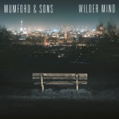 Mumford & Sons - The Wolf