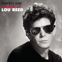 Lou Reed - Perfect Day artwork