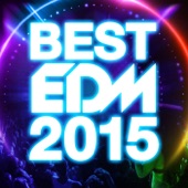 BEST EDM 2015 artwork