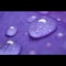 Purple Rain (Cover) - Babbazitt lyrics