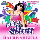 Hum Hai Raja artwork