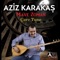 Ava Çiyayeme Sore - Aziz Karakaş lyrics