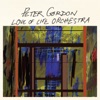 Peter Gordon Love of Life Orchestra