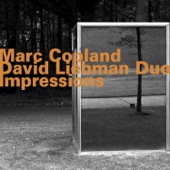 Marc Copland - David Liebman Duo: Impressions artwork