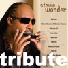 Letra & Música: A Tribute To Stevie Wonder