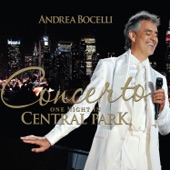 Concerto: One Night in Central Park (Remastered) artwork
