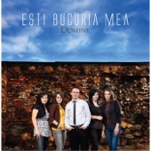 Esti Bucuria Mea artwork