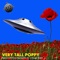 Very Tall Poppy (feat. Frankie Do & Dougie Quaid) - Main$tream lyrics