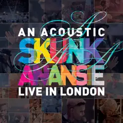 An Acoustic Skunk Anansie (Live In London) - Skunk Anansie