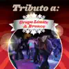 Tributo a Grupo Límite & Bronco album lyrics, reviews, download