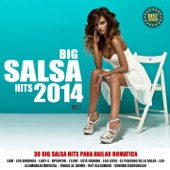 SALSA 2014 !, Vol.1 (30 Big Salsa Hits 2014) artwork