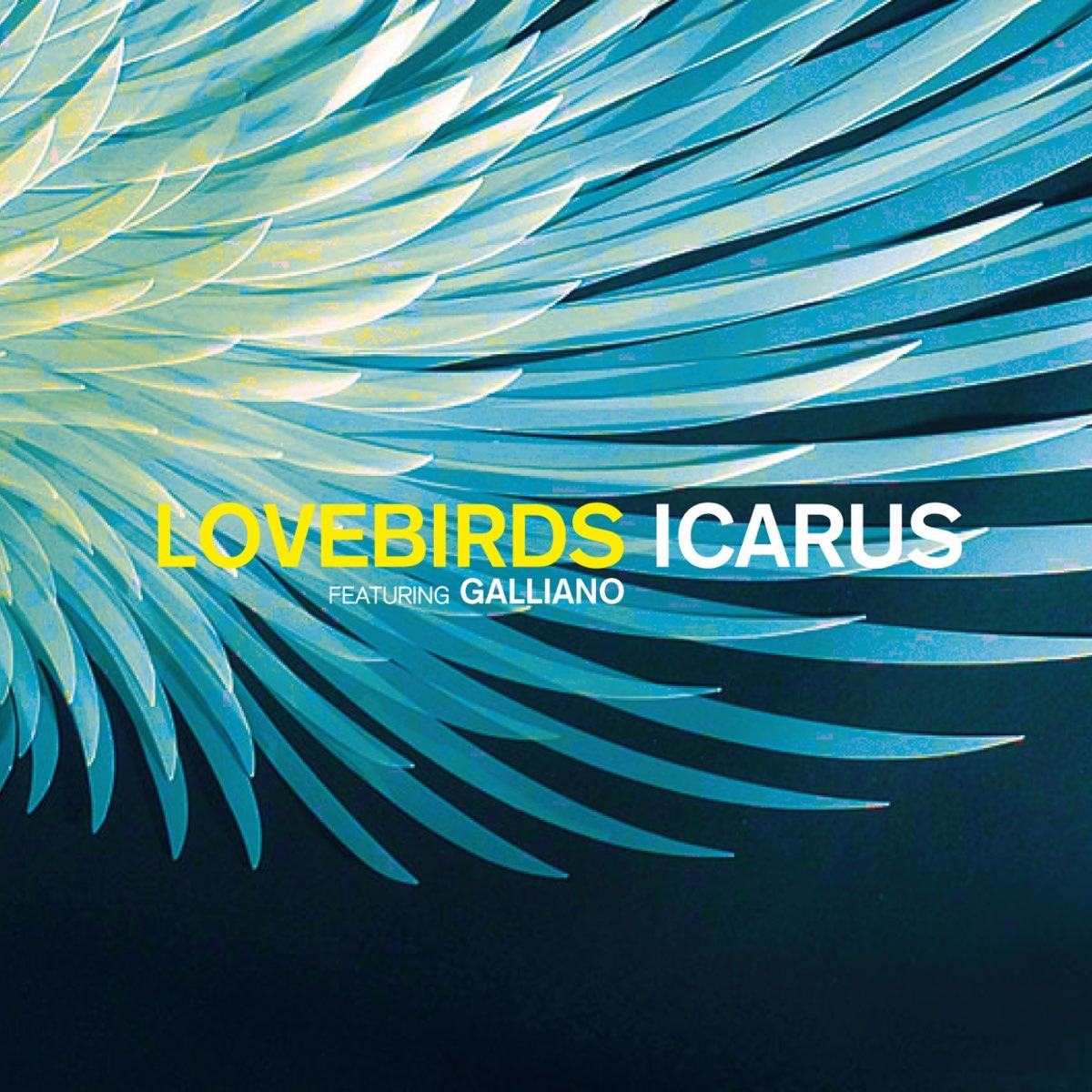 Feat icarus