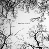 Random Forest - See the Storm