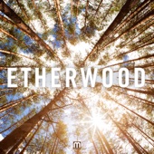 Etherwood artwork