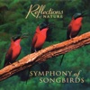 Symphony of Songbirds, 2013
