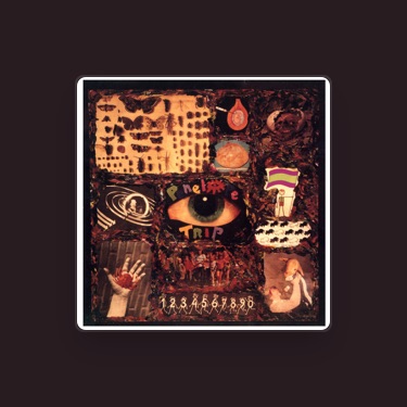 Penelope Trip Lyrics Playlists Videos Shazam