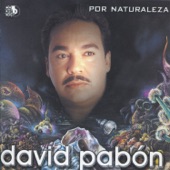 David Pabon - Extraños