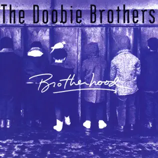 lataa albumi The Doobie Brothers - Brotherhood