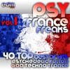 Psy France Freaks, Vol. 1 (40 Top Best of Hits French Psychedelic Fullon Goa Techno Trance Masters 2013), 2013