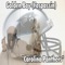 Carolina Panthers - Golden Boy (Fospassin) lyrics