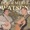 Doc & Merle Watson---Worried Blues