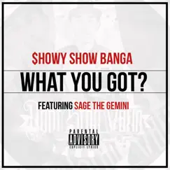 What You Got? (feat. Sage the Gemini) - Single by Show Banga album reviews, ratings, credits