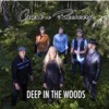 Crash n Recovery - Minefield