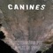 Bottomless Pit - Canines lyrics