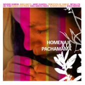 Homenaje a la Pachamama artwork