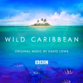 Wild Caribbean artwork