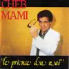 Le prince du raï album lyrics, reviews, download