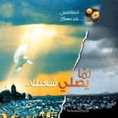 Shoa El Sama artwork