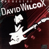 The Best of David Wilcox artwork