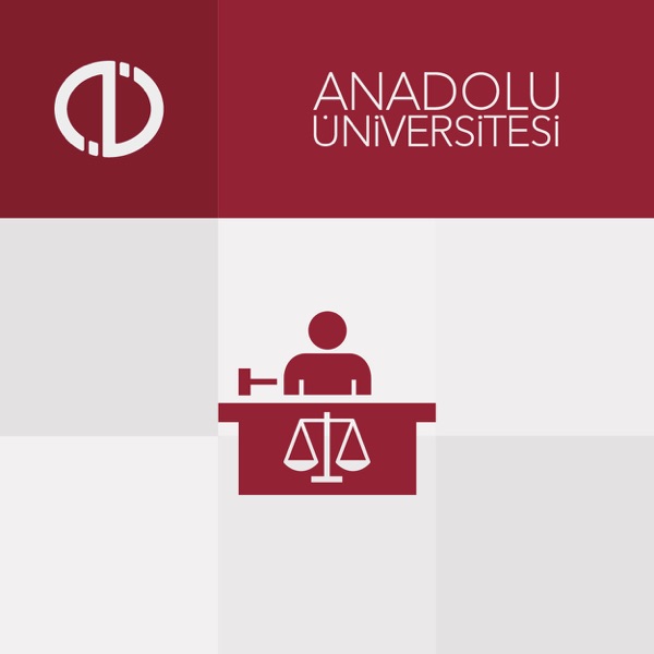 Borçlar Hukuku (2013-2014) cover