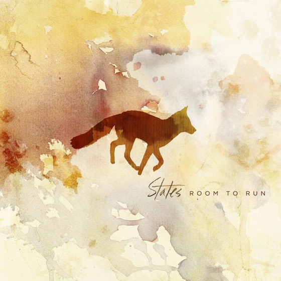 Cover artwork for The Wrong One