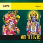 Immortal Bhajans artwork