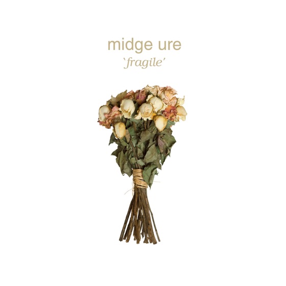 Cover artwork for Become