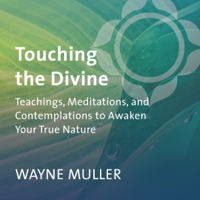 Wayne Muller - Touching the Divine artwork